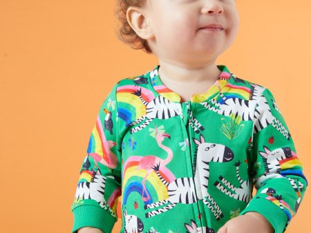 Zebra Baby Onesie Sale